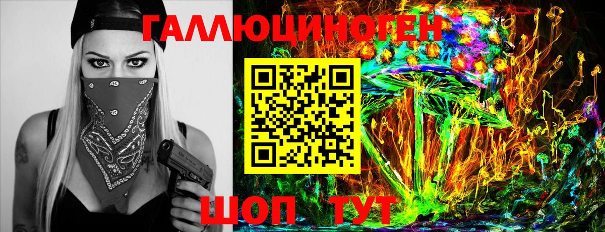 Псилоцибиновые грибы Cubensis Краснодар