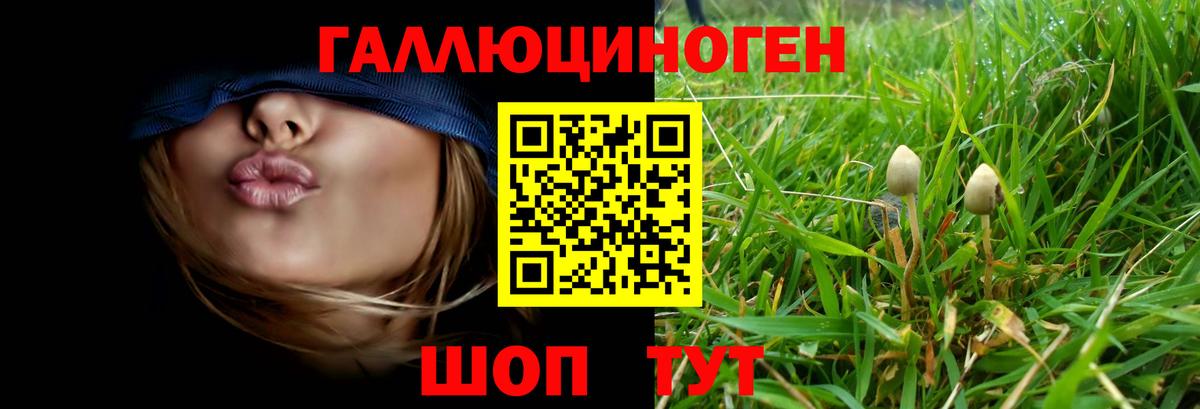 Краснодар  Псилоцибиновые грибы ЛСД  Вход с VPN  Псилоцибиновые грибы прущие грибы 